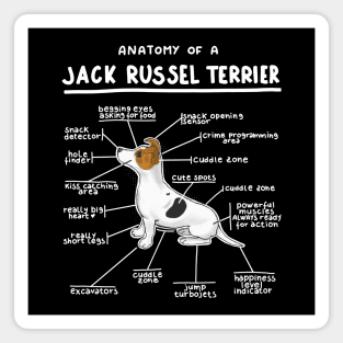 Anatomy of a Jack Russel Terrier Magnet